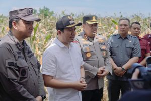 Bupat Bengkulu Utara Panen Raya Jagung Serentak dalam Rangka Swasembada Pangan